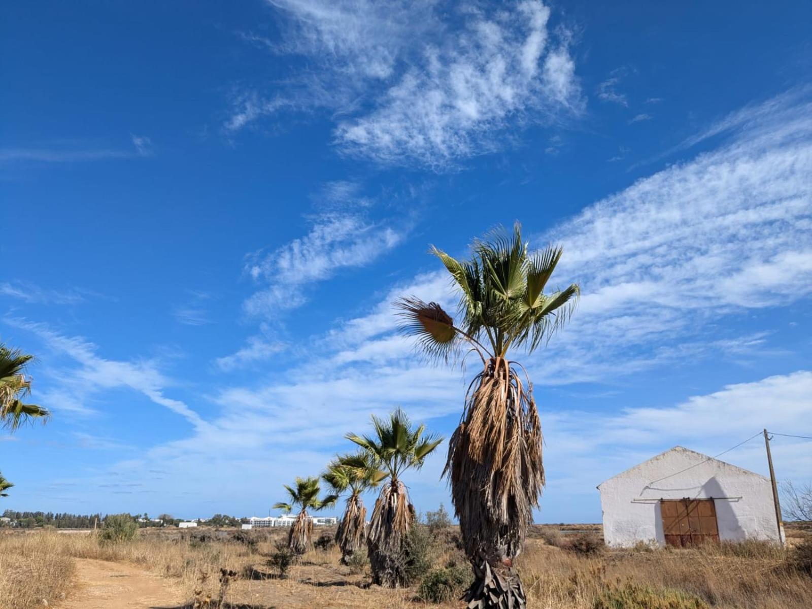 Paradise In كاباناس تْدي تافيرا المظهر الخارجي الصورة